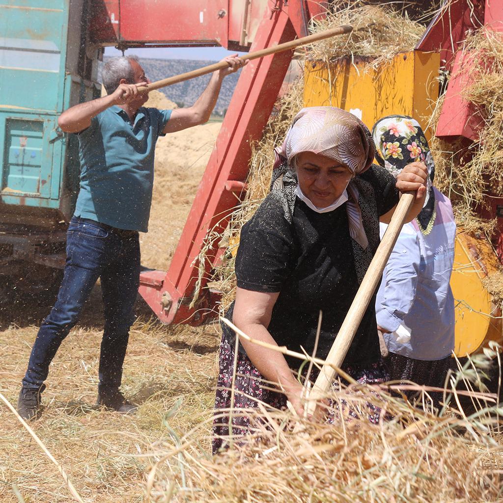 Ata tohumundan kimyasal ilaçsız, zehirsiz mercimeğe ve yine katkı maddesiz, zehirsiz erden geleneksel yöntemlerle ü..retilen salçalara <a href="/ovacikdogal/">Ovacık Doğal</a> satış noktalarından ve sadedogal.com’dan ulaşabilirsiniz.
<a href="/beskakoop/">BESKA KOOP</a> <a href="/FatihMacoglu/">Fatih Mehmet Maçoğlu</a>
