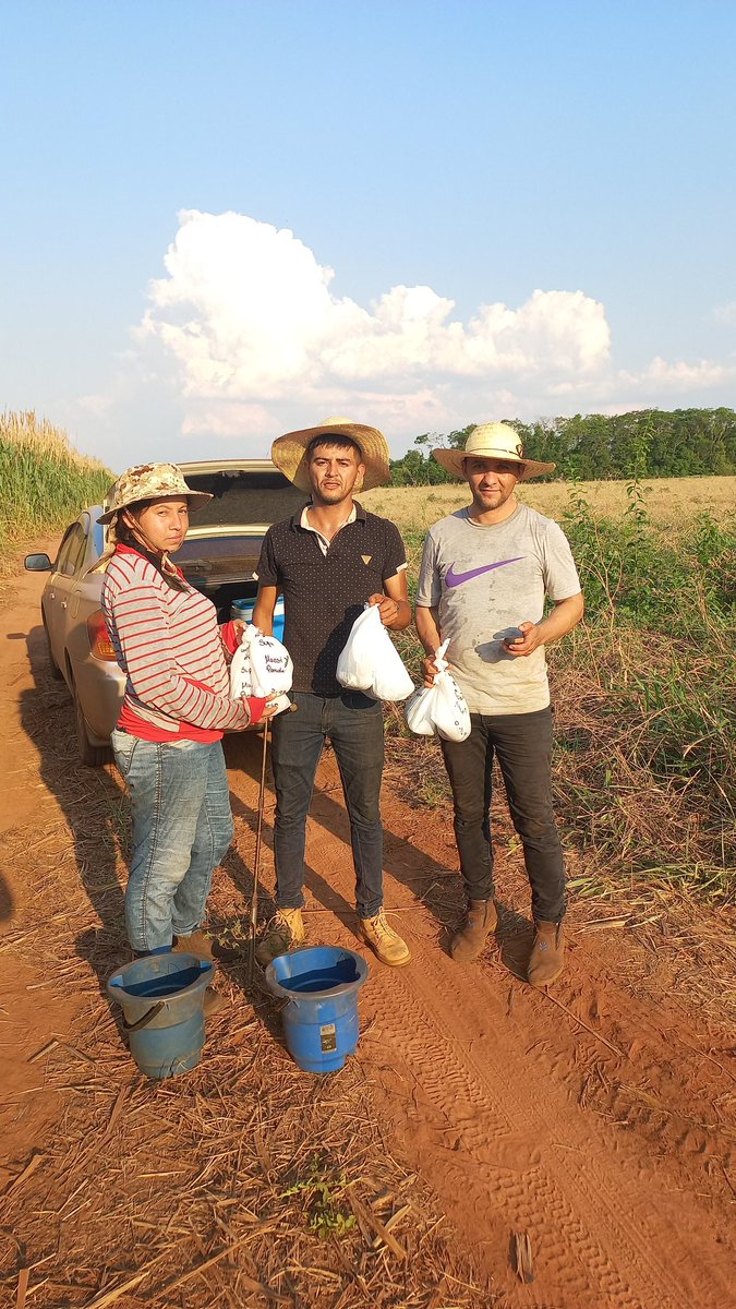 agronortecoop's tweet photo. Práctica de extracción de suelo para análisis laboratorial con los técnicos de la Cooperativa asesorado por el Ing. Oskar Diskel @cgaleanoperrone @ayalagimenez @INCOOPY @magparaguay @psoriamelo https://t.co/ZzjVUyarHk