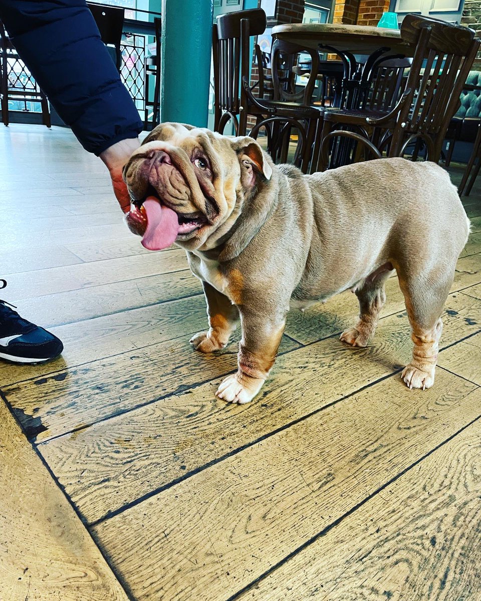 Tib Street Tavern tweet media