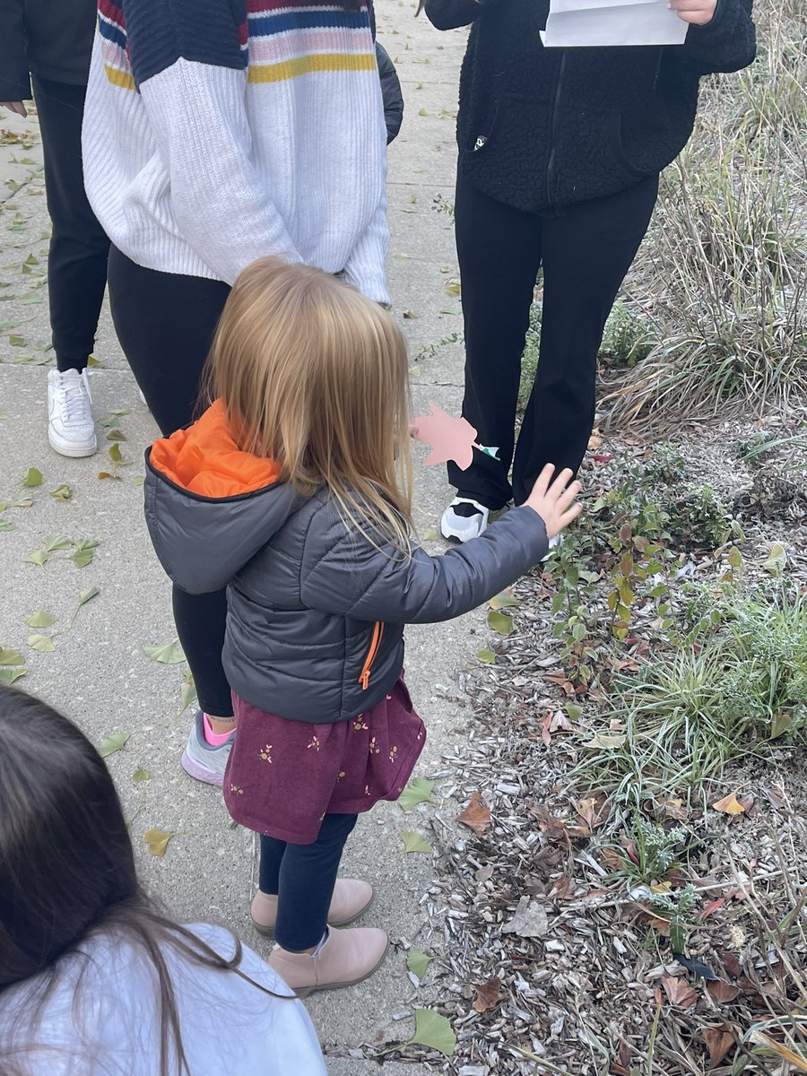 NCHSPreschool's tweet photo. Scavenger hunt searching for different color leaves with Ms Julia #fallweek #bebold203 @NCHSOFFICIAL @NCHSRedhawksCTE @Naperville203 https://t.co/Q33mKTxQcq