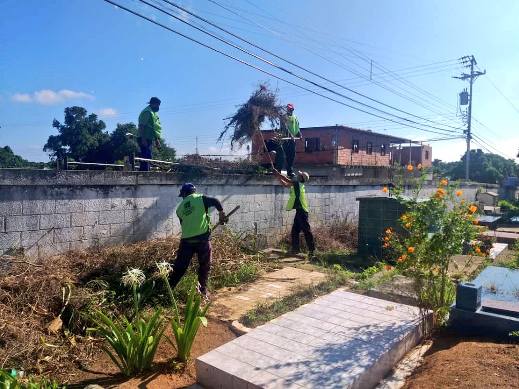 AlcaldiaAnaco's tweet photo. ¡Así Avanzamos en la Limpieza del Cementerio de la Calle Sucre!

El compromiso del equipo de #AnacoLimpio💚 es evidente, su esfuerzo por mantener desmalezadas estos espacios es el trabajo del dia a día en pro del bienestar de nuestra ciudad

#ConstruyendoFuturo con @LuisGuevaraM_ https://t.co/2kUNvZVfUr