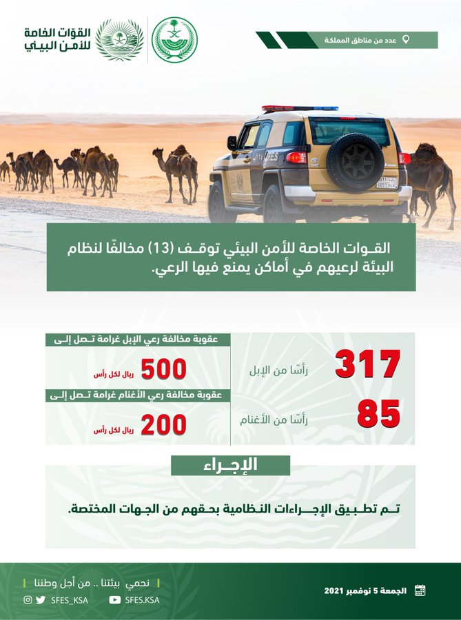 الصورة