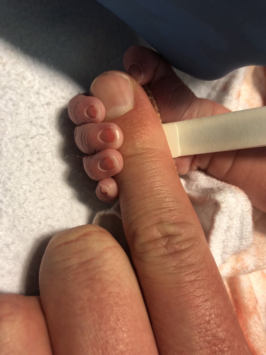 Willem de Gelder tweet media