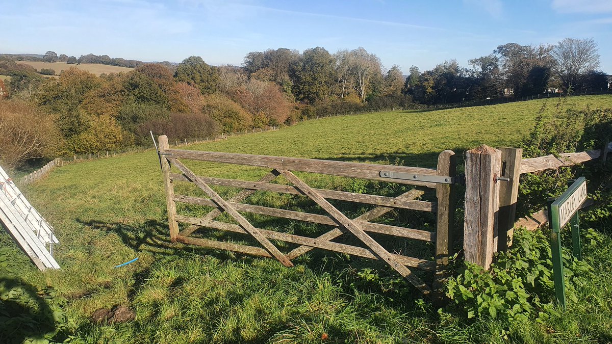 sheepboy_sussex's tweet photo. My 2 Shetlands cows collected from their autumn break on @southeastNT land at Battle in the @highweald before bonfire night. Getting some goodness into the field. Good to chat to several people as well as they walked by explaining how they will benefit the land here https://t.co/NpwHOkCKqa