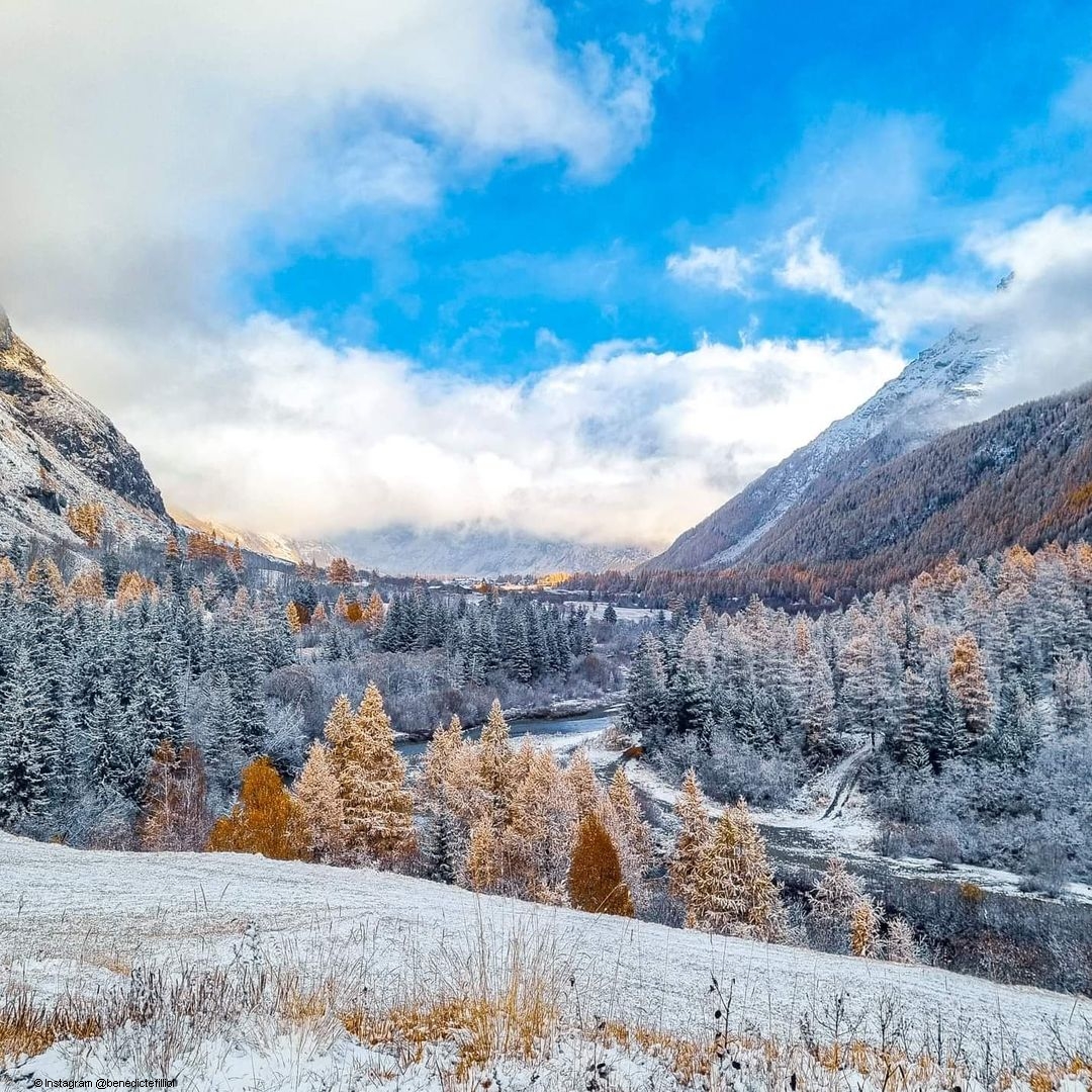 SavoieMontBlanc's tweet photo. #Neige fraîche sur les sommets ❄️, couleurs automnales dans les forêts 🍂 : la collection #automne/#hiver 2021 est particulièrement réussie en #SavoieMontBlanc 👌 !

📸 @FlyNervures  |  @clarafotomania |  https://t.co/oHTcZlV0Mg | https://t.co/U9y1C2D23X https://t.co/UxgmRzUjOF