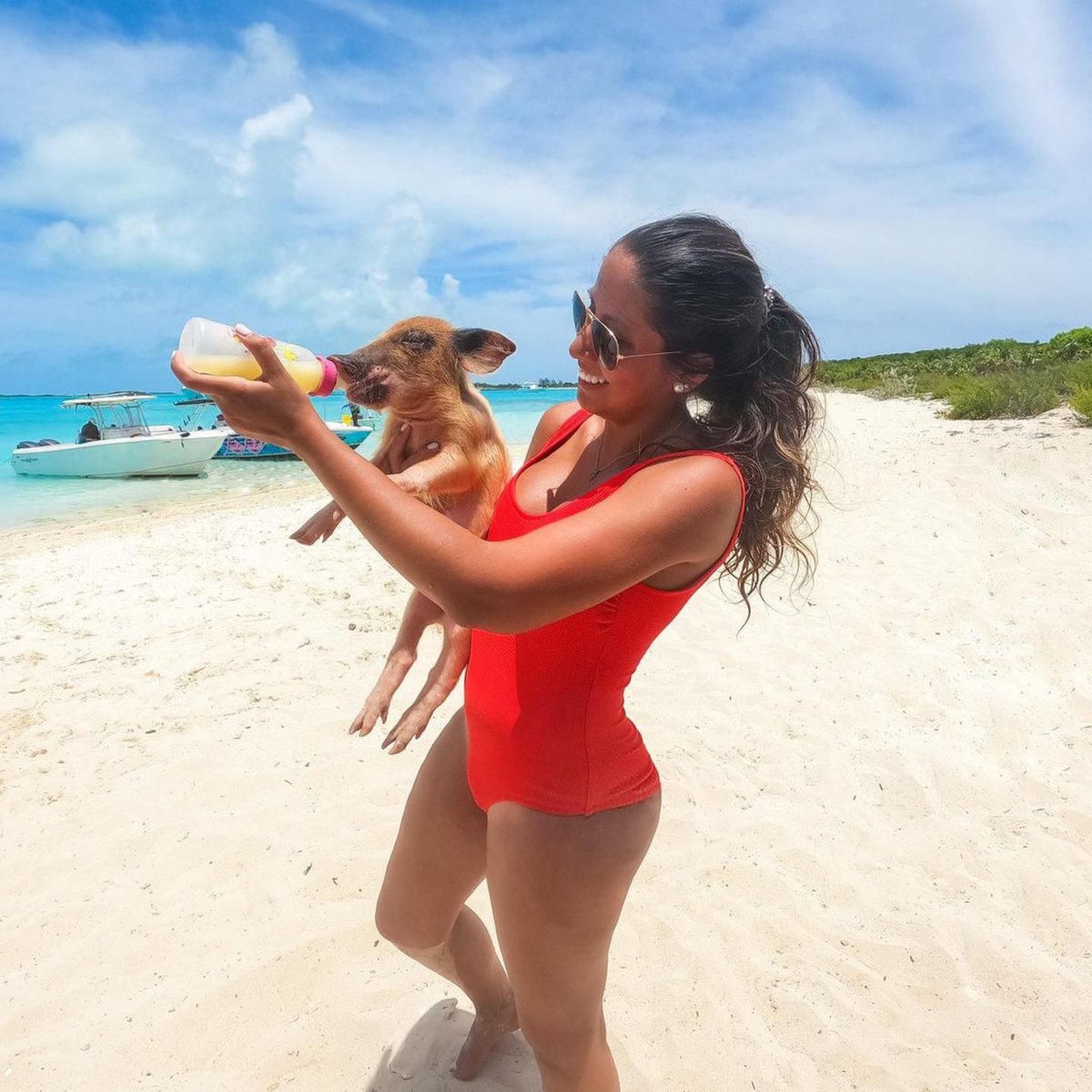 PigsofParadise's tweet photo. Nothing like fresh orange juice on a hot beach day
*Order your book today! https://t.co/DRd51abDpm π·π¦ππ΄β£β£
πΈ: @maluveltze / IG
#pigsofparadise #bahamas #pigbeach #pigs #book #dreamvacation #traveltips #featurefilm #pigsofinstagram #famousβ£ #truestory #exumadream ... https://t.co/37oGd949YH