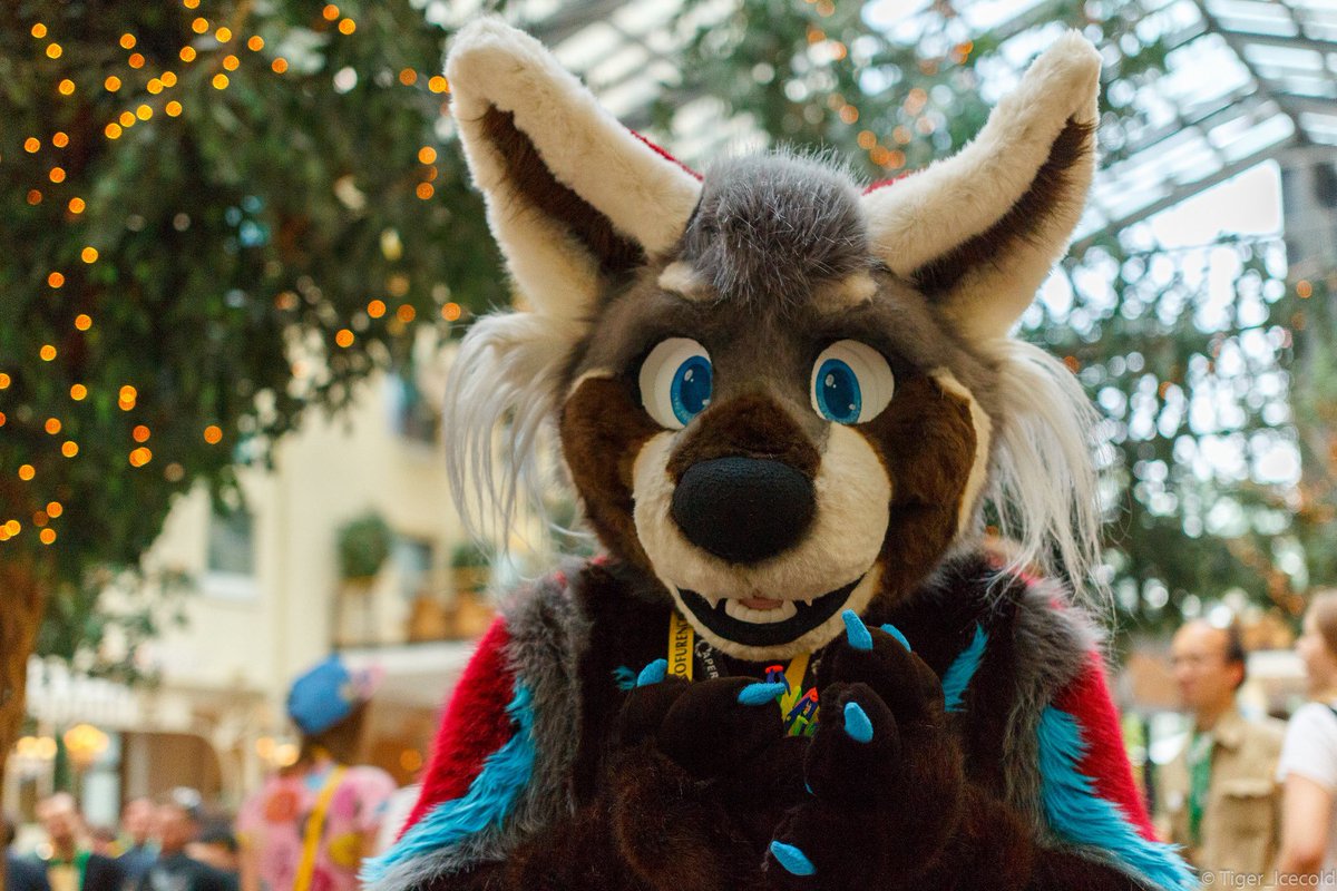 titanpandaroo's tweet photo. #FursuitFriday #Memes #SuchAPanderp https://t.co/9974AJqkxD
