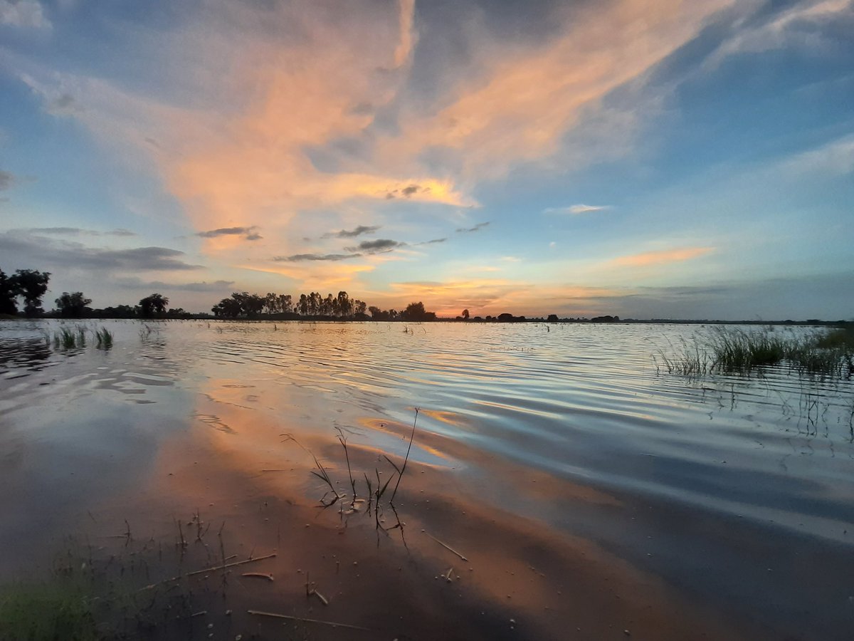 Risings57838005's tweet image. ขอบคุณครับ