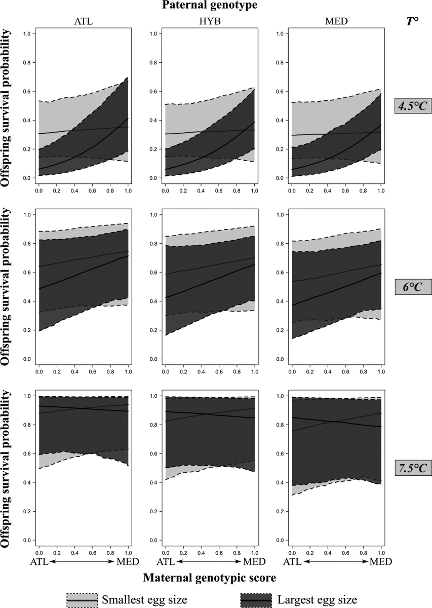 EvolAppJournal's tweet photo. Genotype-by-environment interactions drive the maintenance of genetic variation in a Salmo trutta L. hybrid zone
https://t.co/Ul68DdPIlM
by Folio et al @inrae_ecobiop
#GxE #diversity #trout #hybridization #MaternalEffect https://t.co/NyJbiD9GEC