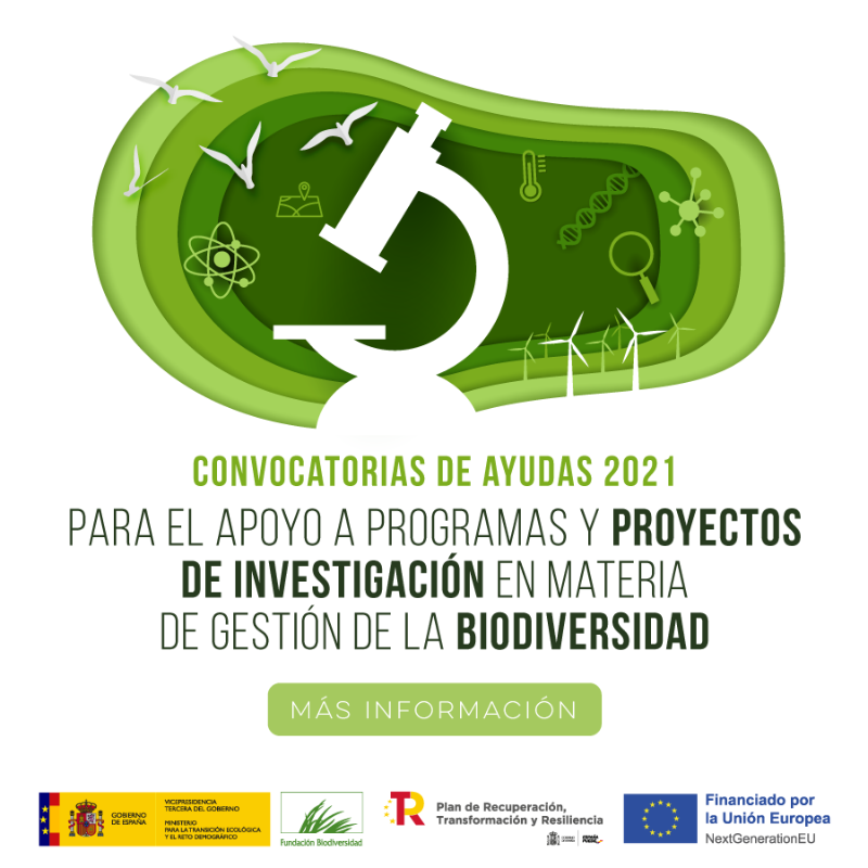 FBiodiversidad's tweet photo. ¿Conoces nuestras convocatorias de ayudas 2021?

💰 88,75 M € para apoyar proyectos transformadores, basados en la ciencia y en las soluciones que proporciona la naturaleza para impulsar la recuperación verde 💪💚

#PlandeRecuperacion