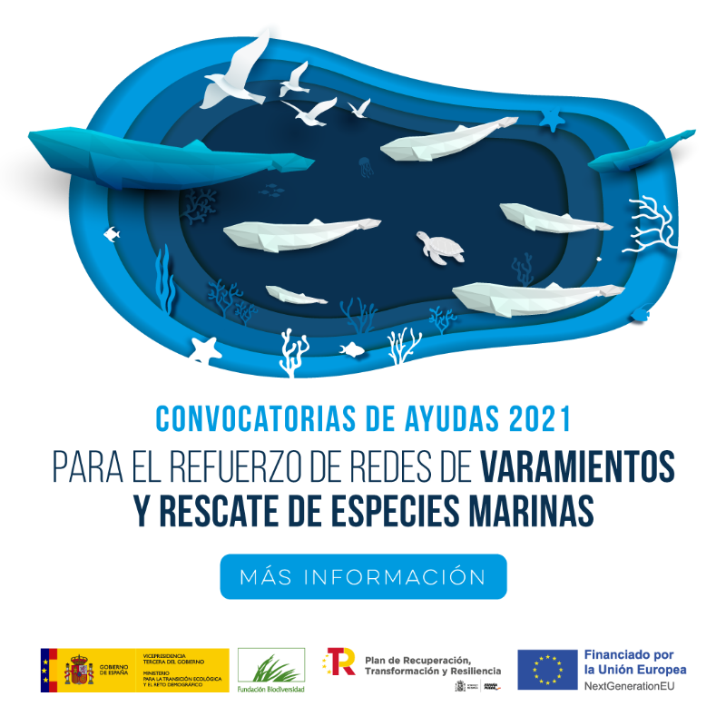 FBiodiversidad's tweet photo. ¿Conoces nuestras convocatorias de ayudas 2021?

💰 88,75 M € para apoyar proyectos transformadores, basados en la ciencia y en las soluciones que proporciona la naturaleza para impulsar la recuperación verde 💪💚

#PlandeRecuperacion
