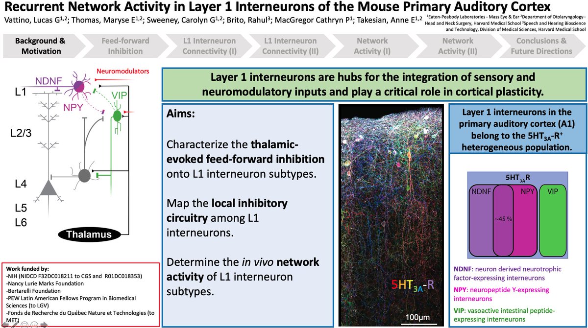 TakesianLab's tweet image. We&apos;re at APAN 2021 today with three posters from @lgvattino, @ChristineJLiu, and @maryseethomas. Check them out at 11:15 and 1:15 if you&apos;re attending!