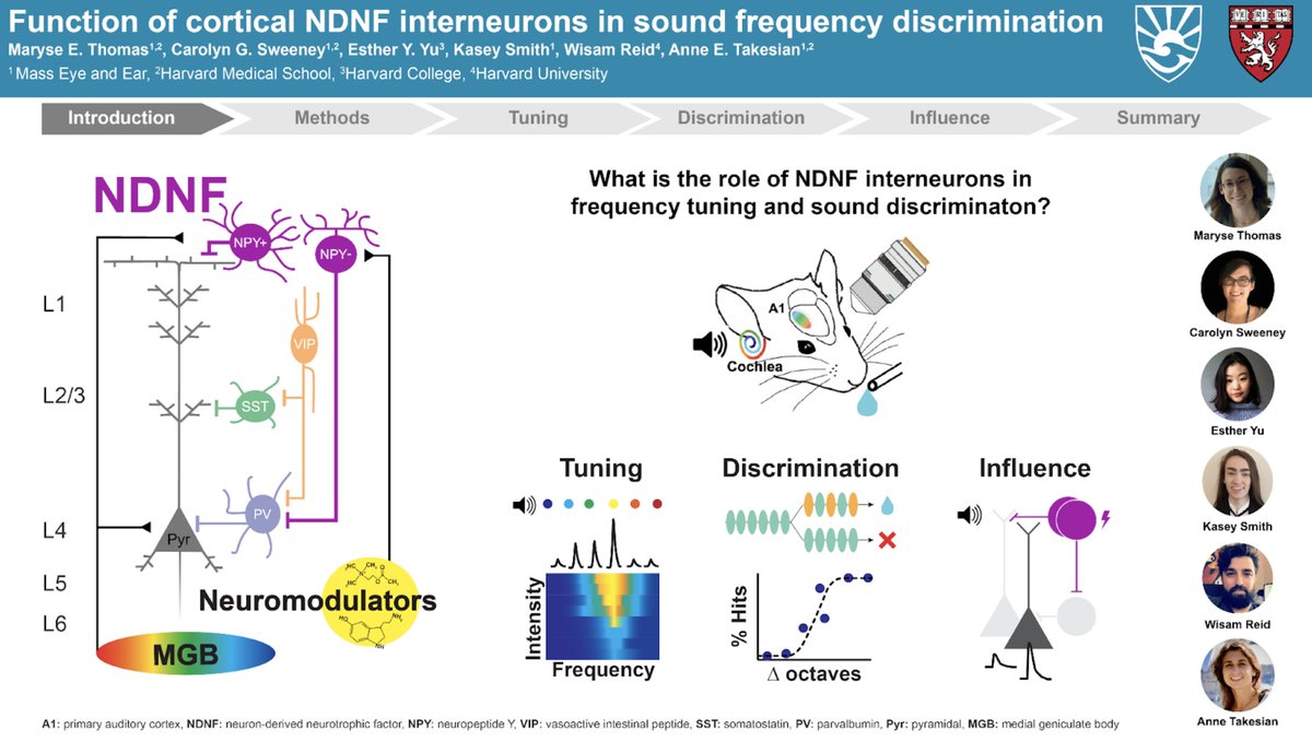 TakesianLab's tweet image. We&apos;re at APAN 2021 today with three posters from @lgvattino, @ChristineJLiu, and @maryseethomas. Check them out at 11:15 and 1:15 if you&apos;re attending!