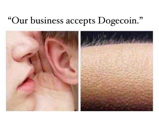 itsALLrisky's tweet photo. Every business that likes money should #AcceptDoge https://t.co/cweTa2hmFY