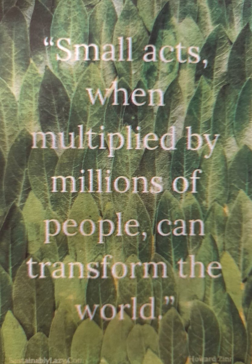 CastletroyC's tweet photo. Thanks to all in our School Community who are involved in discussions/ debates about 'The Care of our Environment "
#COP26 
#climateandnaturesummit # careoftheearth
#walkingdebates #sustainability
@greenschoolsire @Limerickcouncil https://t.co/wl3aapvzO7