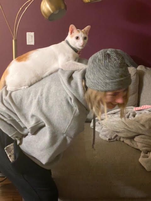 FOURPAWSUSA's tweet photo. Great news this #FightForCatsFriday: Cody has been adopted! He was rescued from a slaughterhouse in Vietnam and took his #FreedomFlight to @perrys_place_la this summer. While living with a foster mom in LA, a family friend fell in love with Cody, and he fell in love with her. ❤️ https://t.co/eJYEd8WhKa
