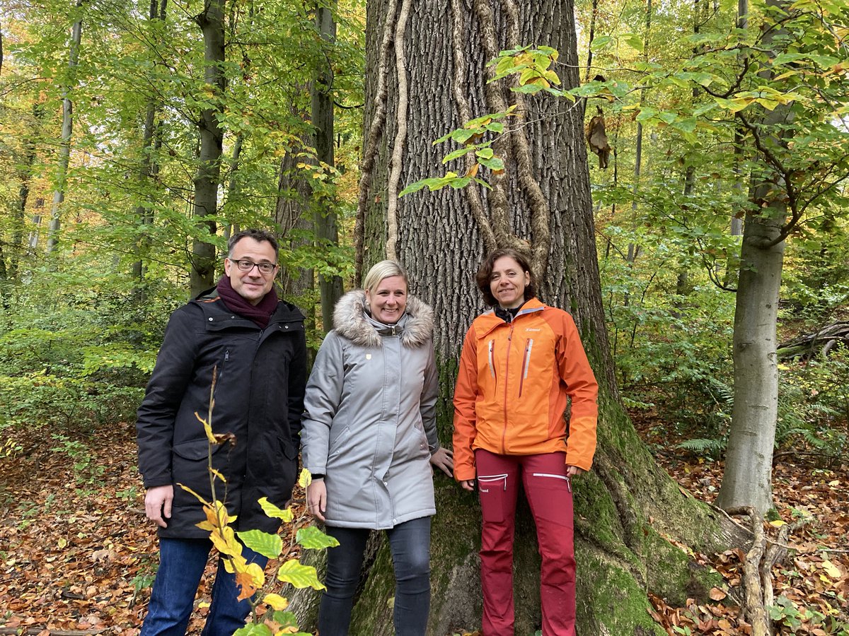 kasparsutter's tweet photo. Gemeinsam mit den Waldbesitzerinnen schützt @BaselStadt 26% der kantonalen Waldflächen. Dies im Interesse der #Biodiversität und #Nachhaltigkeit.

mit Claudia Fröhlich-Bürgermeier und @KaufmannChristi @Riehen_ch #Bettingen #Bürgergemeinde https://t.co/JF88IKA82X