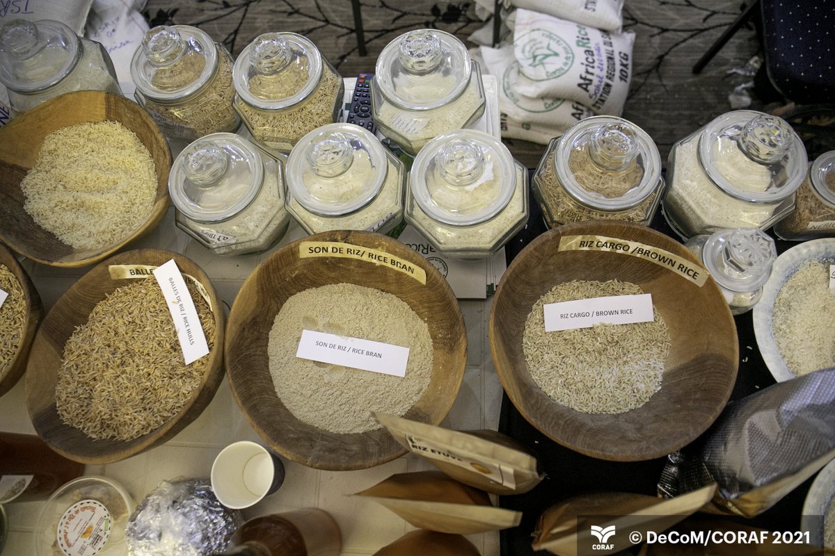 CORAFNews's tweet photo. 📸 In pictures the first edition of the #WATEF
See more here: https://t.co/d2I4AlIhkq
#Developpement #Agriculture #Innovation @Taat_Africa @IITA_CGIAR @Afdb_Group @FARAinfo @CSIR_WRI @USAIDWestAfrica @inran_Niger @DrreaO @isra_ceraas @ISRA_Senegal @agridigitale1 @ecowas_agric https://t.co/3bpYYryRKJ