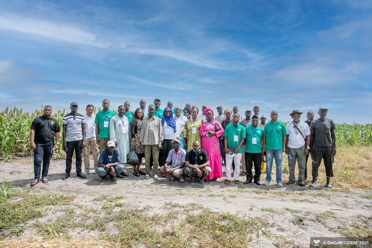 CORAFNews's tweet photo. 📸 In pictures the first edition of the #WATEF
See more here: https://t.co/d2I4AlIhkq
#Developpement #Agriculture #Innovation @Taat_Africa @IITA_CGIAR @Afdb_Group @FARAinfo @CSIR_WRI @USAIDWestAfrica @inran_Niger @DrreaO @isra_ceraas @ISRA_Senegal @agridigitale1 @ecowas_agric https://t.co/3bpYYryRKJ