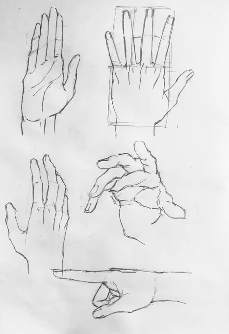 【2週目】2日目前半:クロッキー(92回目)
手模写
男性の手の特徴を学ぶ 