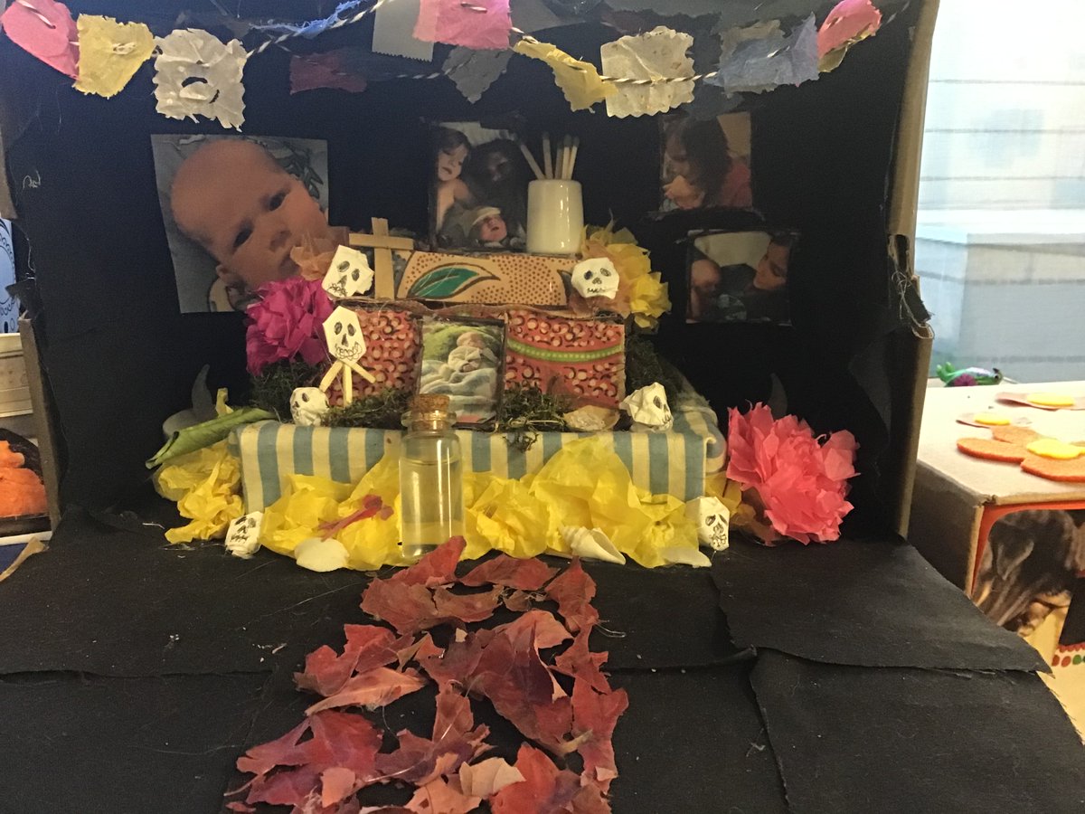 OP97 World Language tweet media