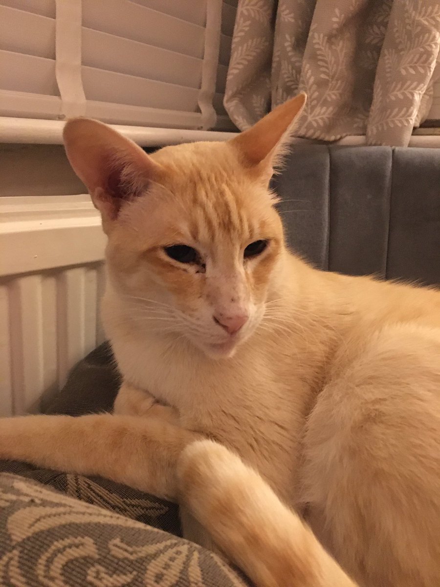 Mandy West tweet media