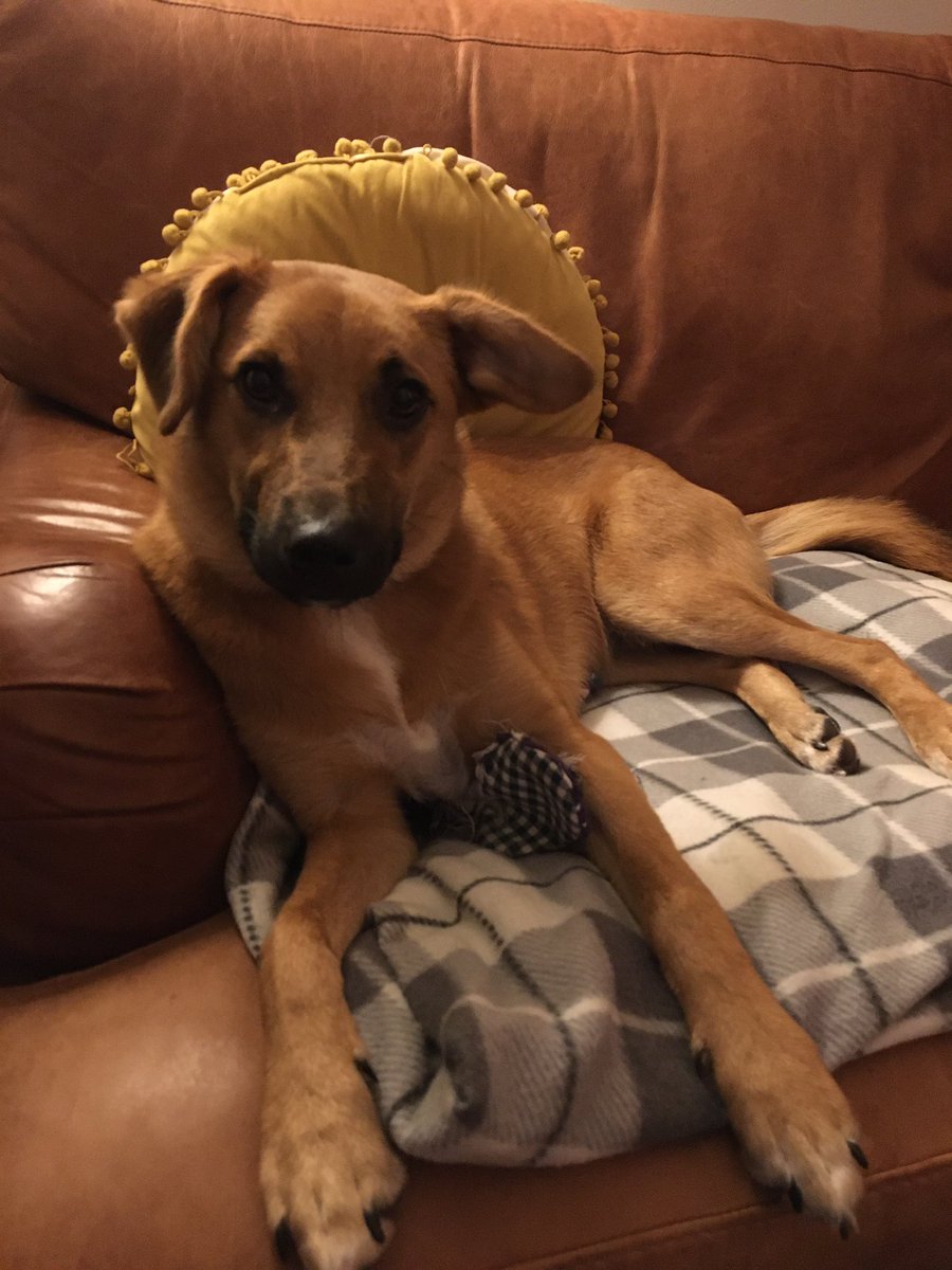 Mandy West tweet media