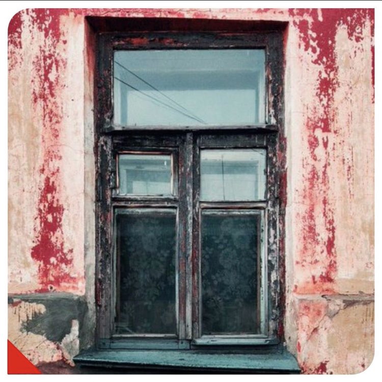 Can you spot a cat in the picture ?