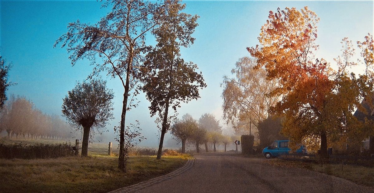 RebergenA's tweet photo. Leersum Herfst 2021…. https://t.co/QJTeDWauTf