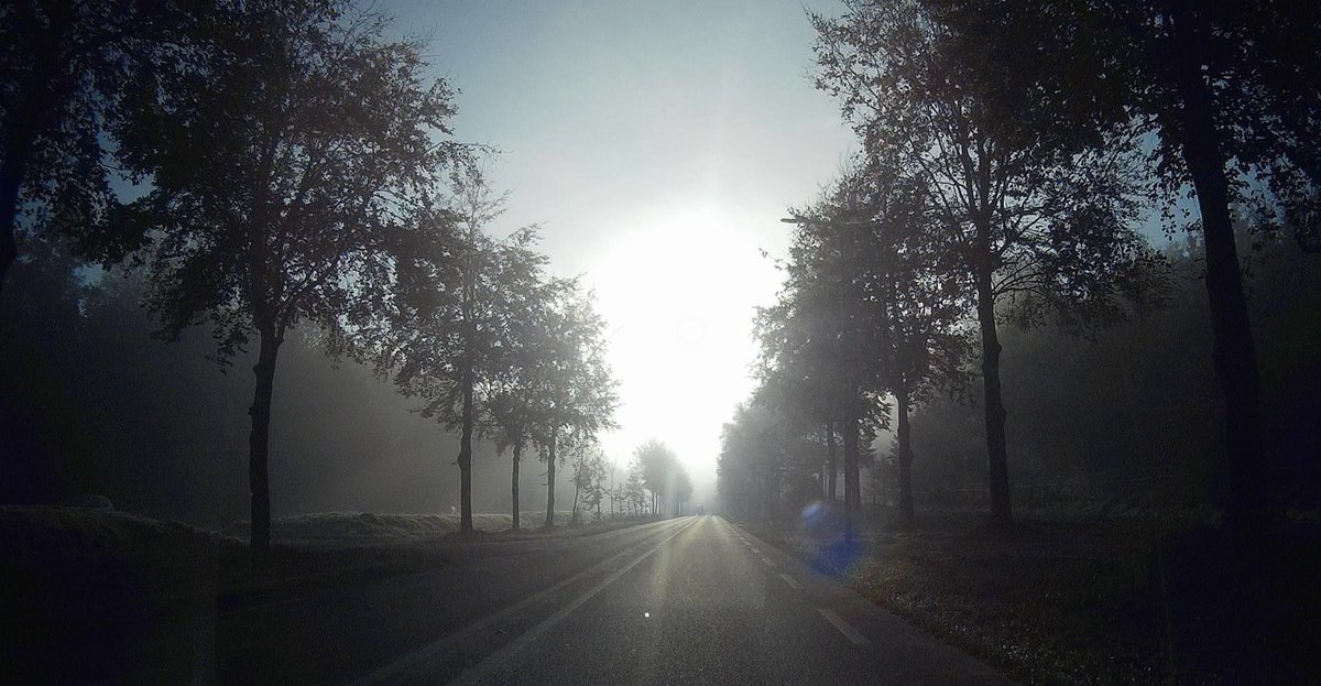 RebergenA's tweet photo. Leersum Herfst 2021…. https://t.co/QJTeDWauTf