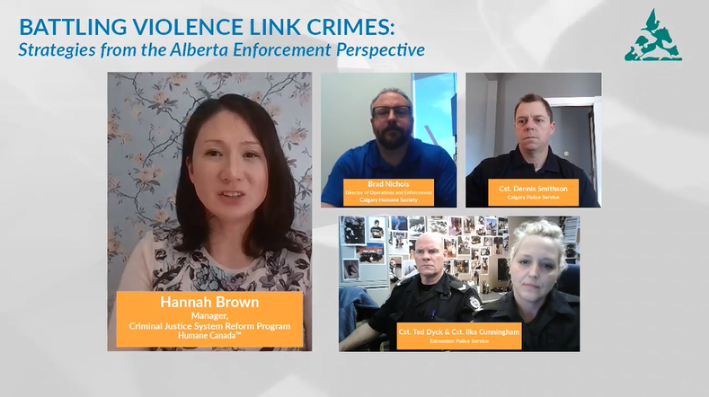 HumaneCanada's tweet photo. Brad Nichols from @CalgaryHumane, Cst. Smithson from @CalgaryPolice &amp; Csts. Ilkinson &amp; Dyck from @edmontonpolice are presenting on their strategies in Alberta to battle #violencelink crimes. We're doing a Q&amp;A now. An informative session for all. https://t.co/jh9GxkNpEm