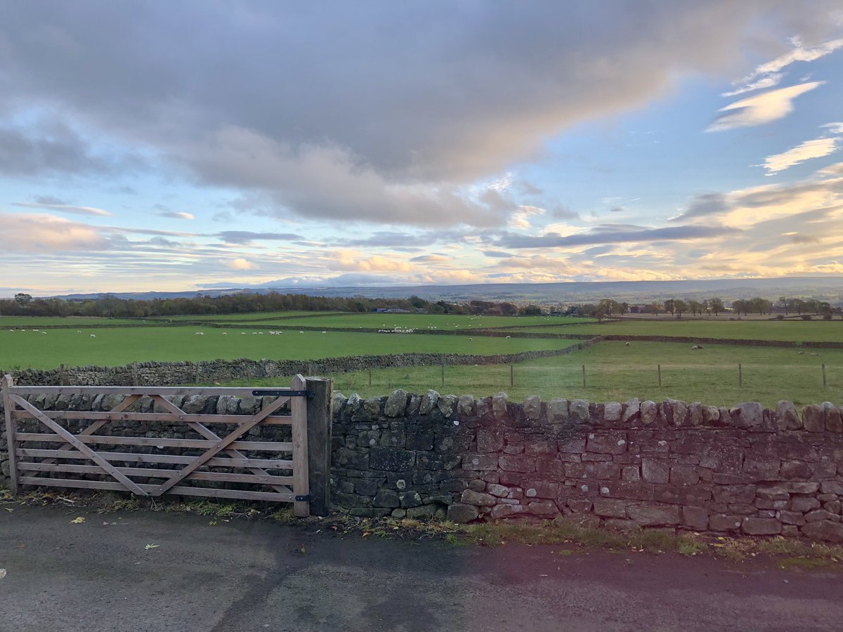 When the fireworks are soooo bad and upsetting you stay on a farm in the countryside for the weekend. Sending love to my furry friends affected…😘❤️🐾 #dogs #dogsoftwitter #Fireworks #BonfireNight #BanFireworks #Staysafe #FireworksNight #CountyDurham