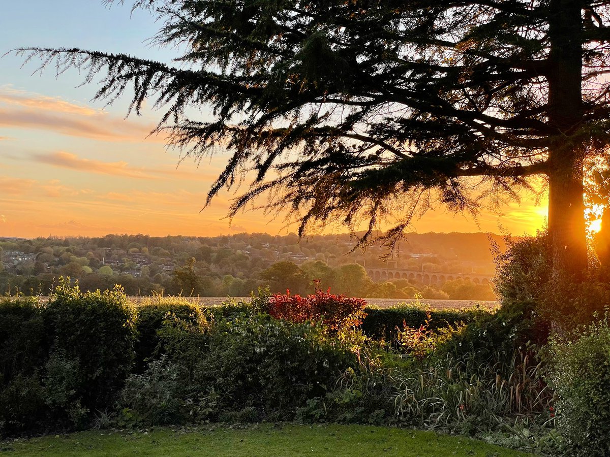 nikkilewisphoto's tweet photo. Another gorgeous autumn sunset over the Welwyn Viaduct.
#sunset #autumn #autumnsunset #digswellviaduct #welwynviaduct #viaduct #welwyngardencity #wgc #dig1 #greenbelt #nikkilewisphotography #nikkilewisphotos #hertfordshire #hertslife #herts #garden #field https://t.co/sLMsudCLyj