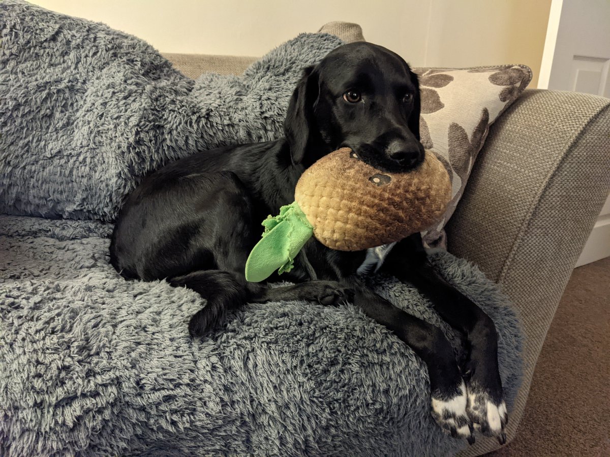 Liz Evans tweet media