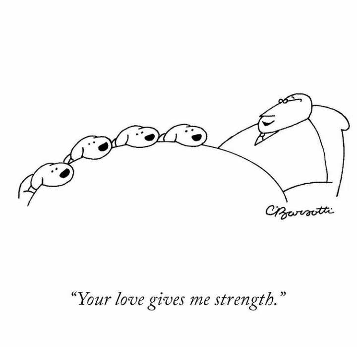 k_da_b's tweet photo. #barsotti https://t.co/aXR2VeGtRQ