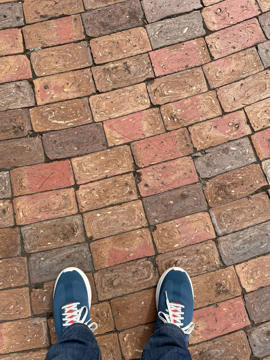 mrscienceteach's tweet photo. Had such an AWESOME #reversefieldtrip today, teaching about sound waves and human ears at the @NCState Wolf Ears sculptures. Great questions and amazing assistance from @mrmarktownley https://t.co/aYgbxudWeQ