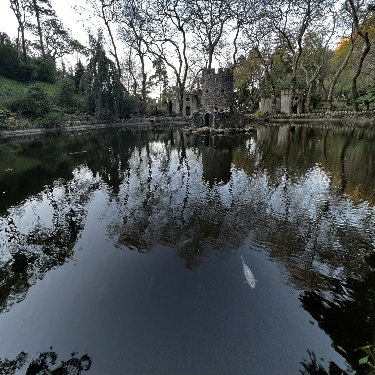 I just had an amazing hike down the hill from The Palace of Pena down to central Sintra!

#WebSummit2021 was great but #hikingadventures are better 🙌