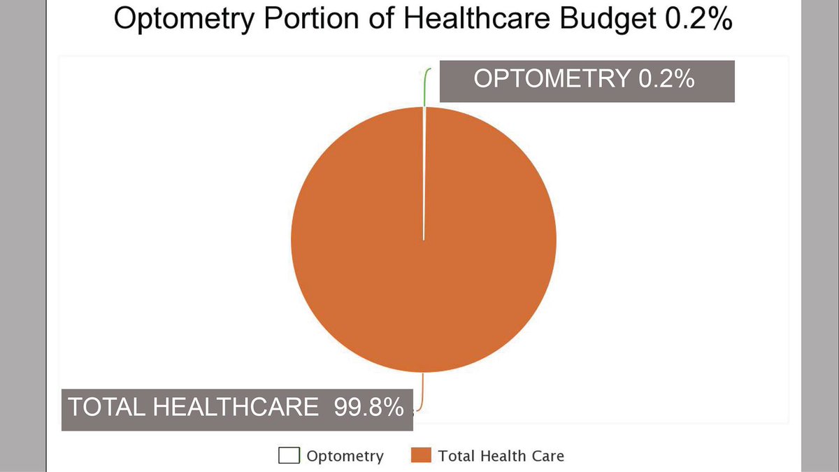 drsaari's tweet photo. The #optometry portion of the #Ontario healthcare budget is technically smaller than the graph permits. The government is delaying OHIP services over two-tenths of a percent. @celliottability must really dislike optometry. @snehduggal @robferguson1 please help #SaveEyeCare https://t.co/K4ag4YZunx