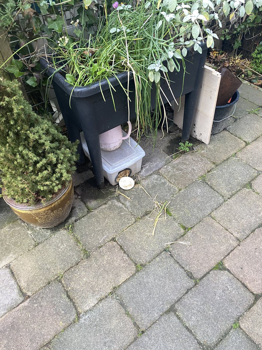 Carolina vd Akker 🍀🌞 tweet media