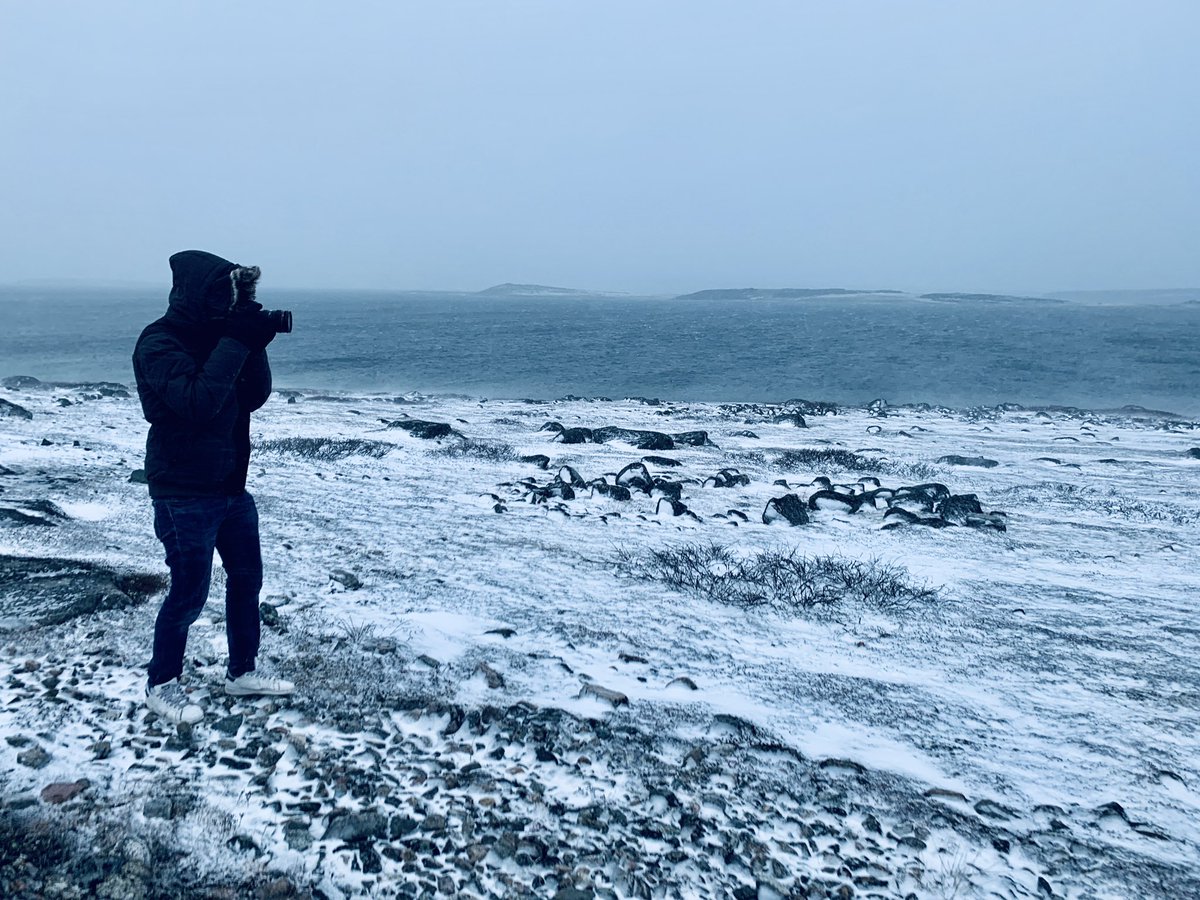 k_quash's tweet photo. Trekking through the tundra in my sneakers after losing my luggage with my winter boots
#reportingtrip #Inukjuak #arcticphotography #freezingtoes #IndigenousReporting https://t.co/H5qRlVrsqZ
