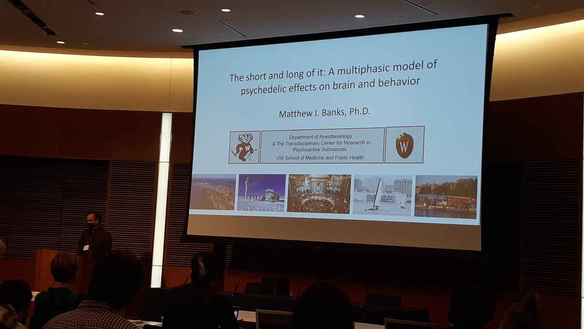 amandarpy's tweet photo. Dr. Matthew Banks now unapologetically giving a "hardcore neuroscience" talk: "The Short &amp; Long of it: A Multiphasic Model of Psychedelic Effects on Brain &amp; Behavior" at #UWPsychedelics Symposium @UWTCRPS @UWMadPharmacy #Psychedelics https://t.co/n9HLlnDgWh