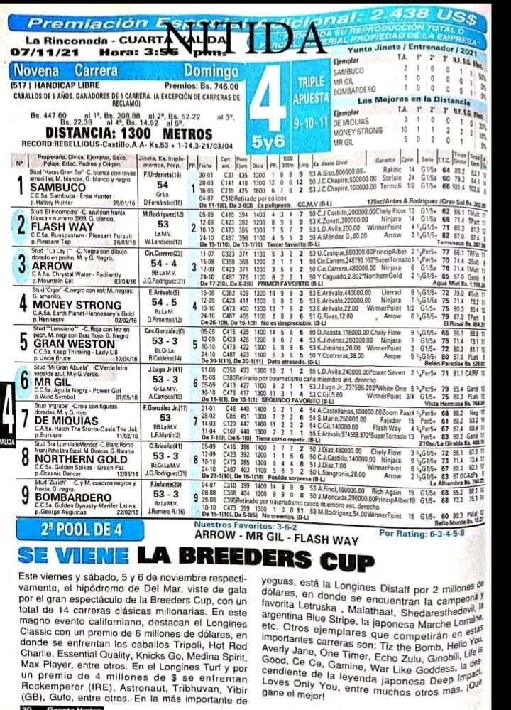 Carmencita.🐎🏇 tweet media