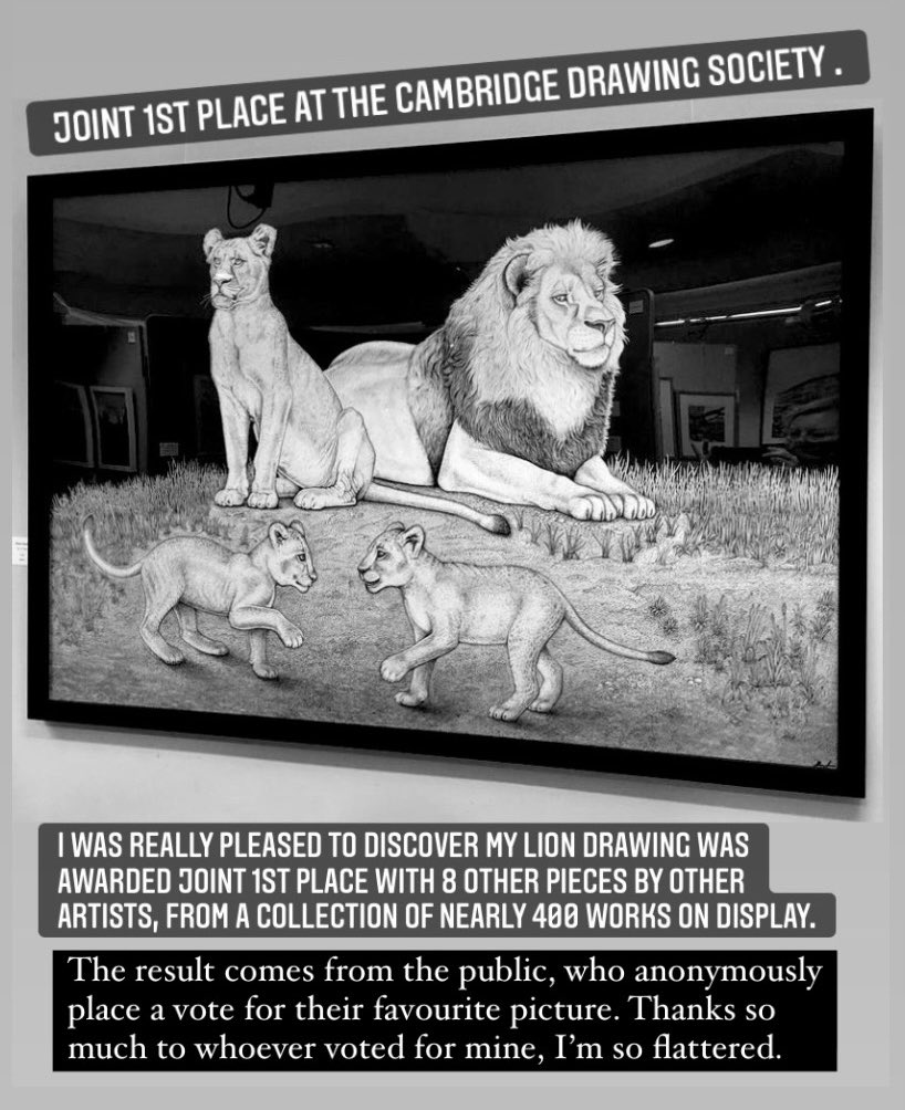 Shane Swann Art tweet media