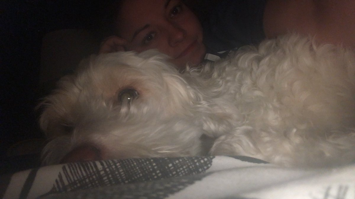 Mol9208's tweet photo. @ClassicFM thank you for playing pet friendly music this evening. It’s helping this anxious little one 💙 https://t.co/BkGwfZxn3d