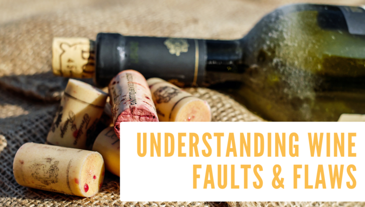 SommCon's tweet photo. In #SommGo class, Understanding Wine Faults & Flaws, distinguished #winemakers collaborate to discuss why faults in winemaking occur and how to prevent them.
Join them for this educational class at https://t.co/7CjMCVdrkQ
#businessofwine #winemaking https://t.co/l39qWOds3Q