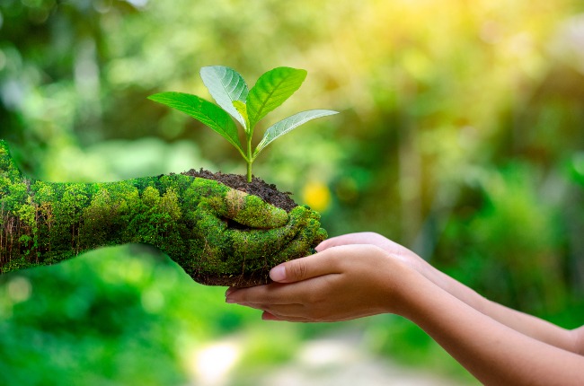 AngelVelascoM11's tweet photo. @PilarCo70133476 @GustavoManriq_M @Ambiente_Ec @ESPOLsostenible @camachojaime Tener presente que la conservación que los servicios ecosistémicos depende únicamente del ser humano y al no ser capaces de preservarlos, la degradación de los mismos conduce a daños significativos en el bienestar de la humanidad https://t.co/Lj0dRCscux