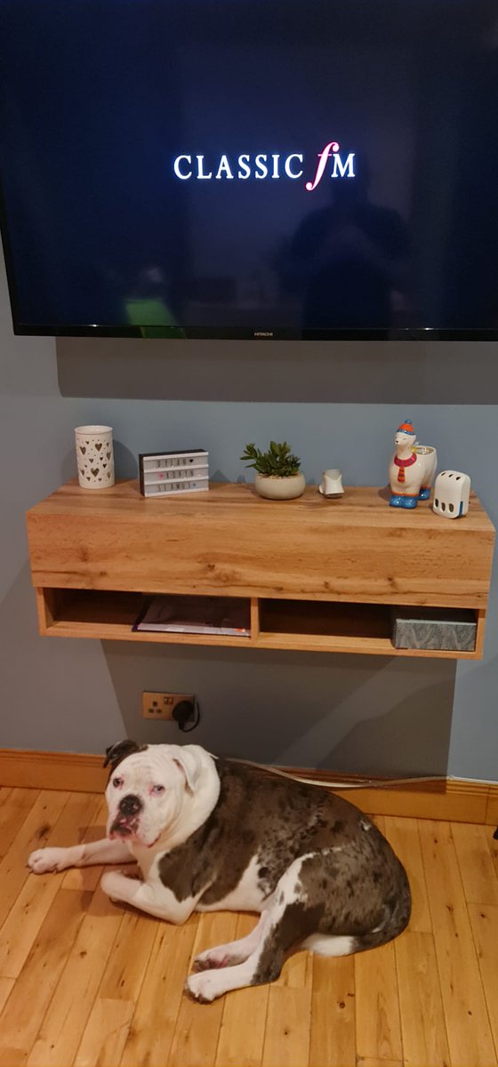RobynMcmahon's tweet photo. @ClassicFM #PetClassics https://t.co/YbilTpXur7