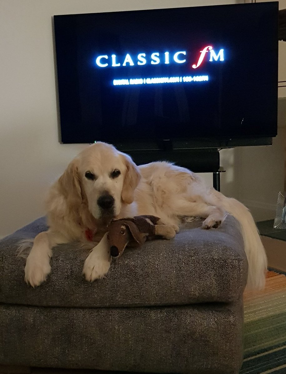 .@Tedbear_dog is really enjoying the truly beautiful music <a href="/ClassicFM/">Classic FM</a> #PetClassics drowning out the fireworks, presented by the truly lovely <a href="/CharlotteHawkns/">Charlotte Hawkins</a>
We all enjoy fireworks but most dogs really don't.
Sending love to all frightened pets this evening.
Especially <a href="/guidedogs/">Guide Dogs</a>