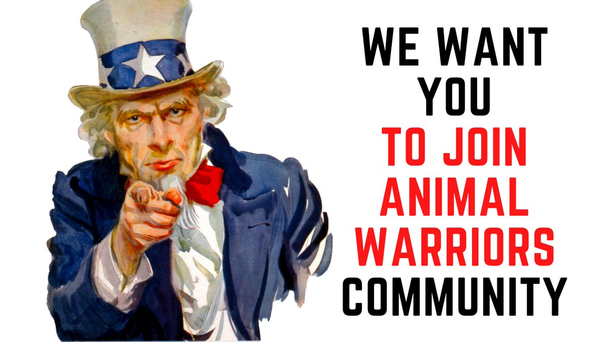 animalwarriors_'s tweet photo. You're the chosen one!!!✌️

Use your powers wisely, unfollow the heard stuck in mass hallucination!🛡️

Come, join the NFT Battleground with @animalwarriors_ ⚔️☠️

Like❤️, RT🔀, and spread the word... We're coming at you.

#NFTGaming #NFTCommunity #NFTcollection #nftart https://t.co/trjZ5Dx3Ca