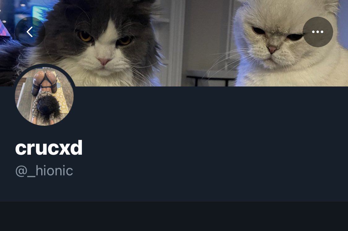 pemaseely's tweet photo. Don’t buy from this person. Handle crucxd / _hionic - it’s a scam. They don’t have tickets. #allypally #Fireworks https://t.co/RD3WFT7xkL